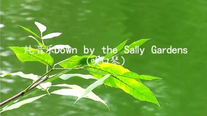 [图]纯音乐Down by the Sally Gardens「吹口琴」