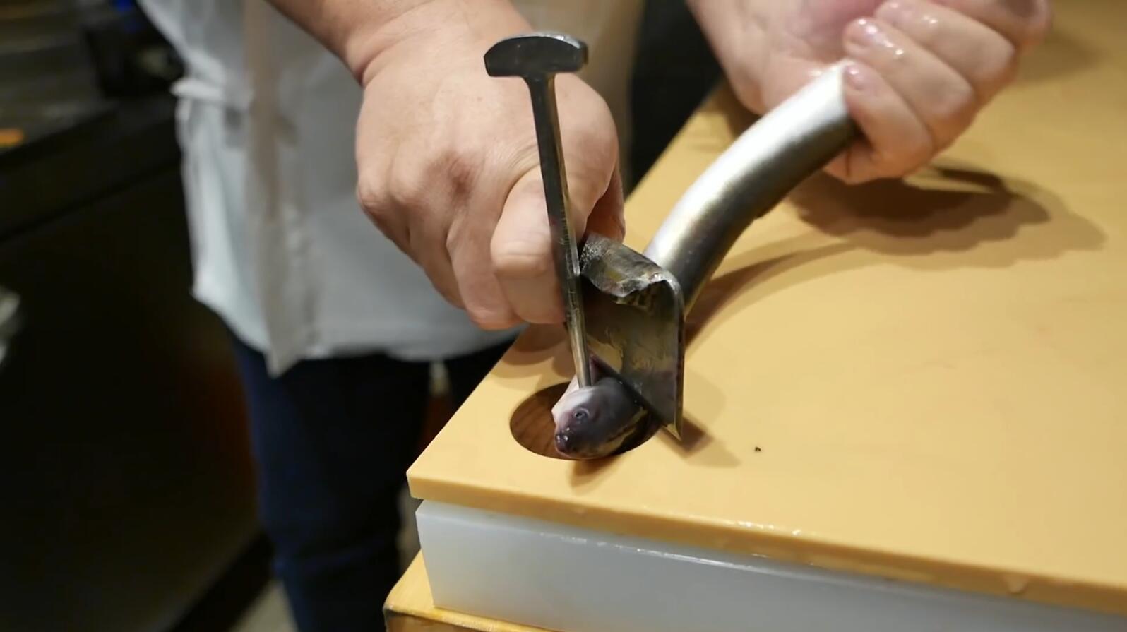 日本料理这道烤鳗鱼虽然好吃,不过看完处理过程,你还忍心吃吗?