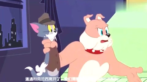 新猫和老鼠:大狗太精明玩扑克的狗都了若指掌,斯派克完全另类
