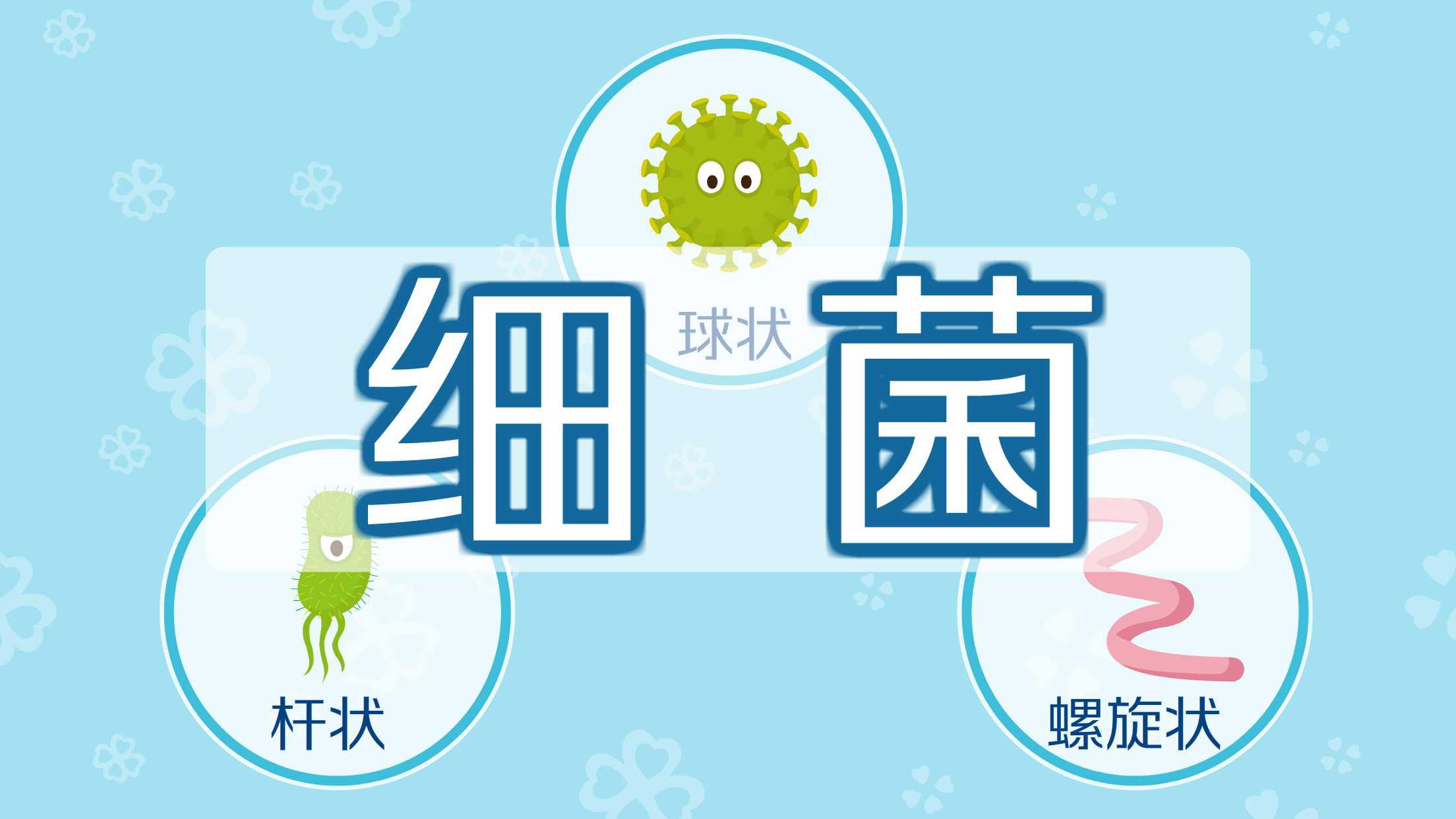 [图]细菌:广泛而又多样的生物