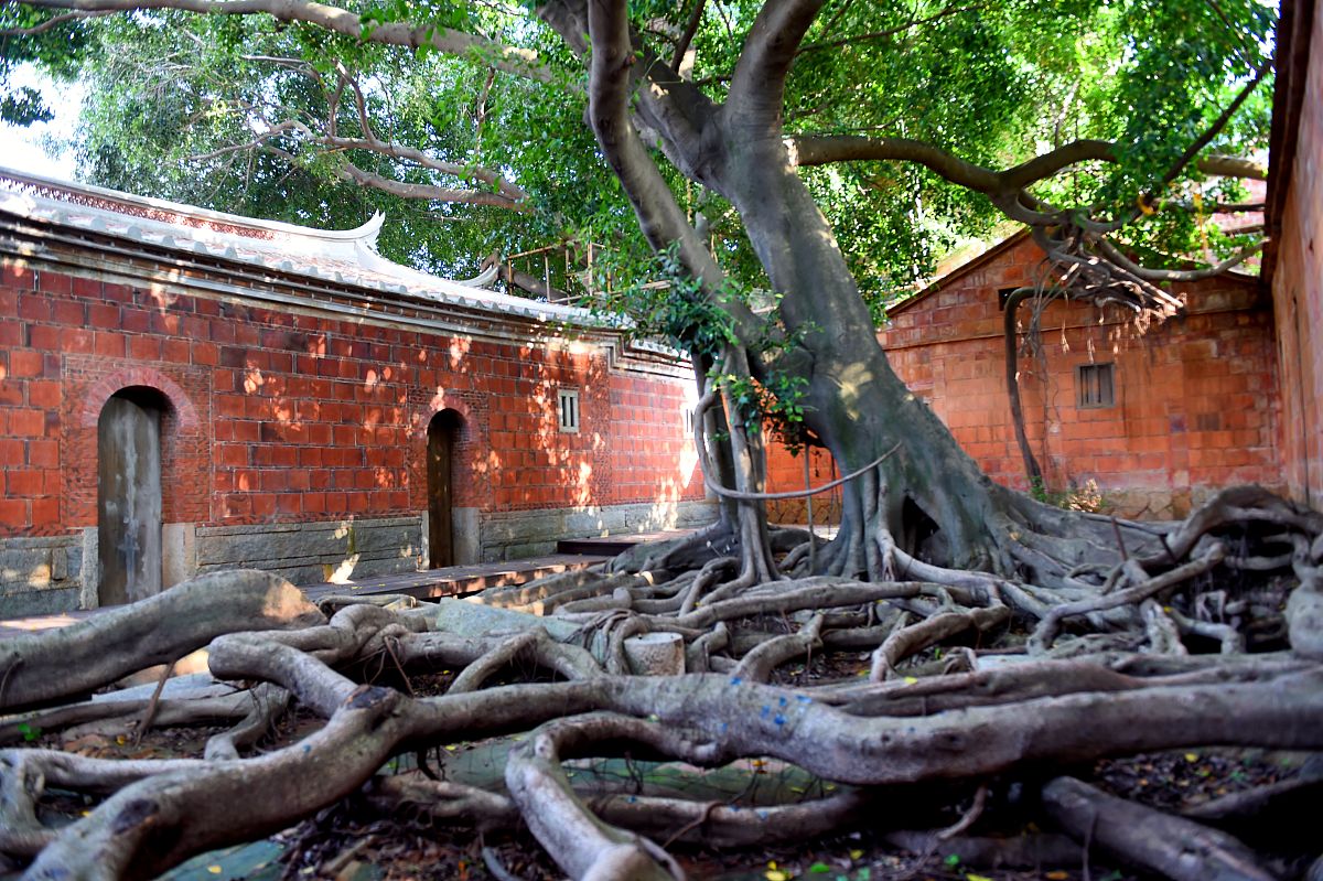 山东世纪艺术学校2023年有哪些专业