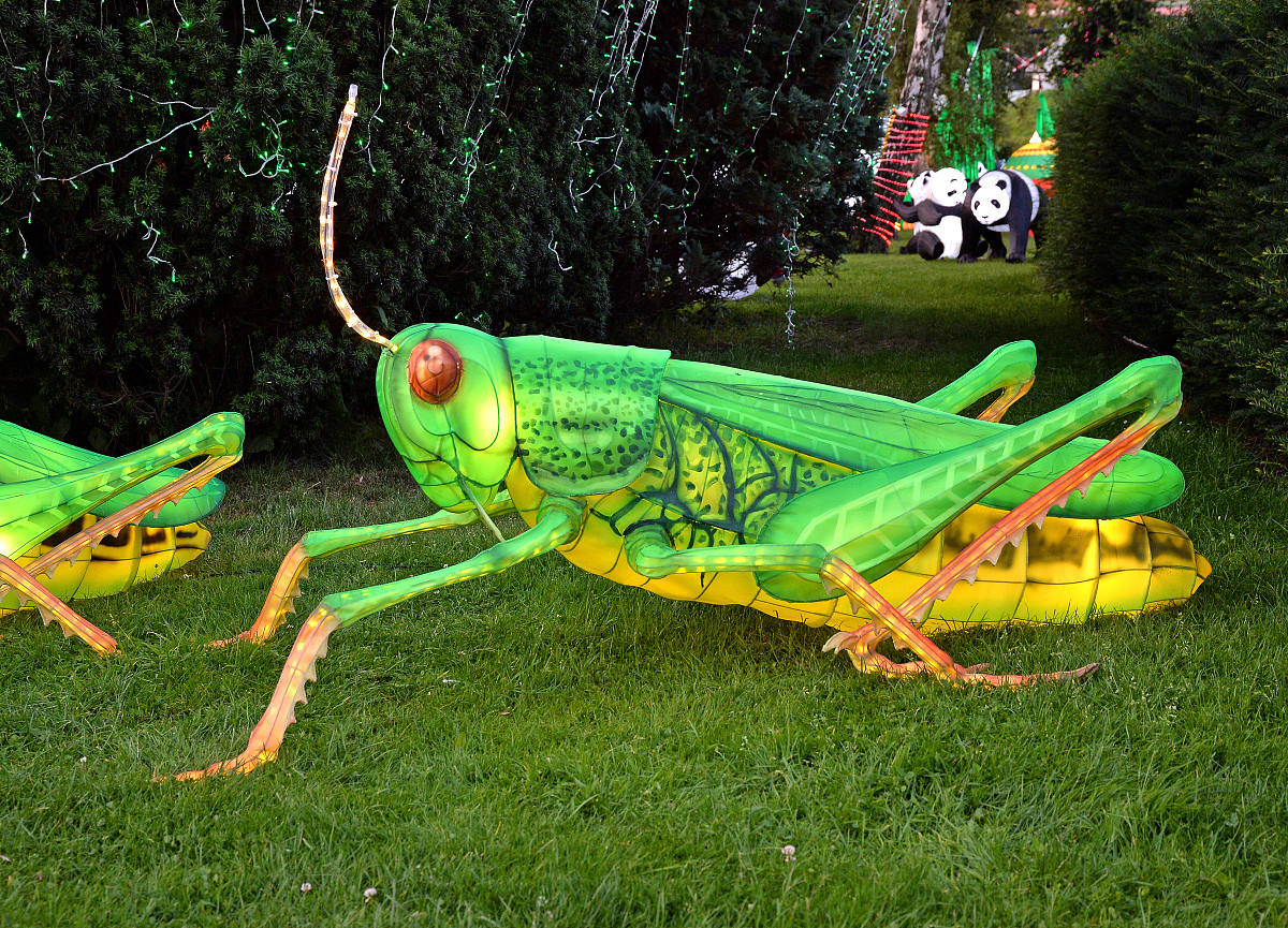 天津师范大学思想政治教育专业怎么样？特色、优势、就业前景分析