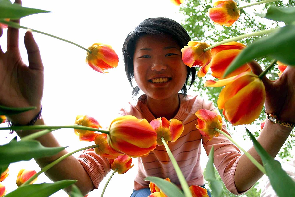 首届世界名花博览会各国名花本周起渐入佳期.2004年4月21日,数十种颜