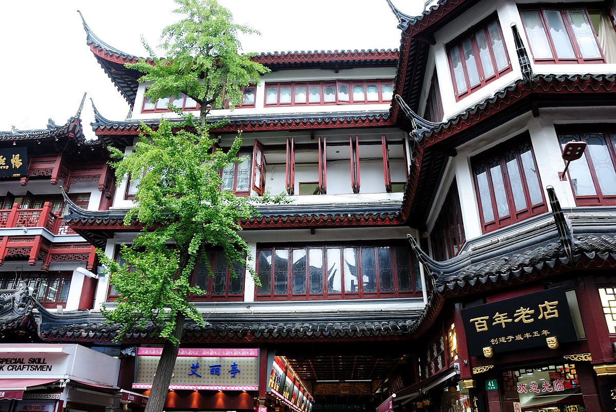 上海小众旅游：探索鲜为人知的景点与活动