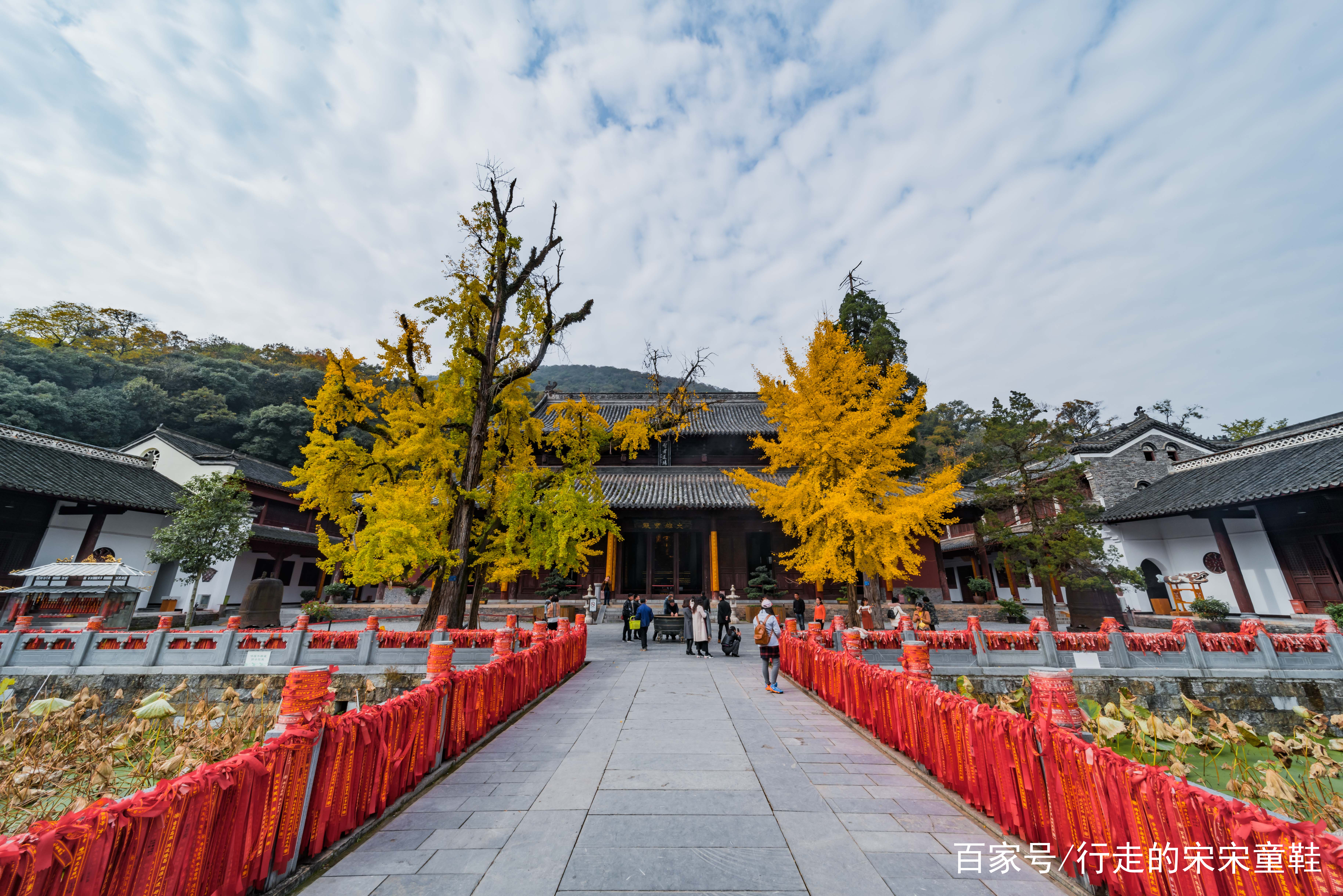 鄂西古寺、穿越千年银杏--宜昌当阳玉泉寺