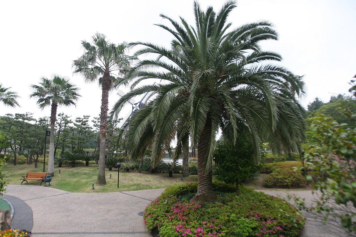 广州工程技术职业学院旅游管理专业就业前景分析