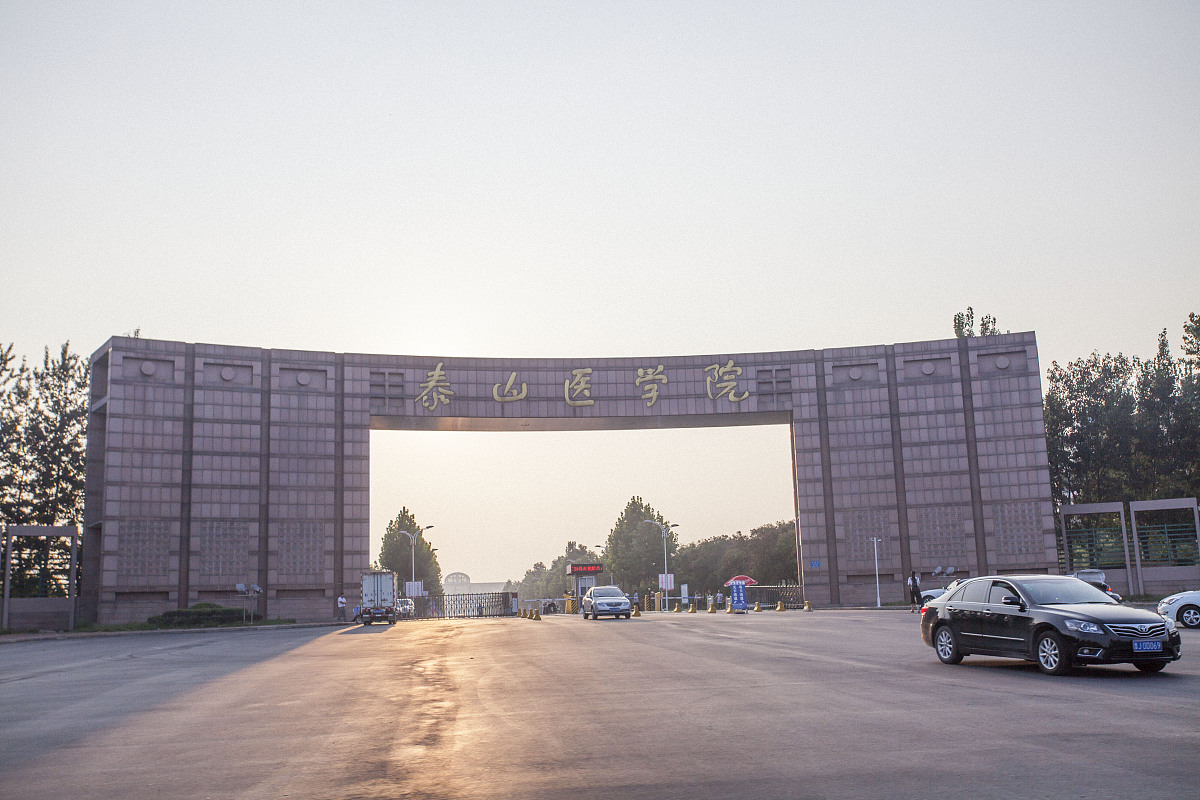 泰山职业技术学院类型 - 市场导向、实践导向、社会服务型