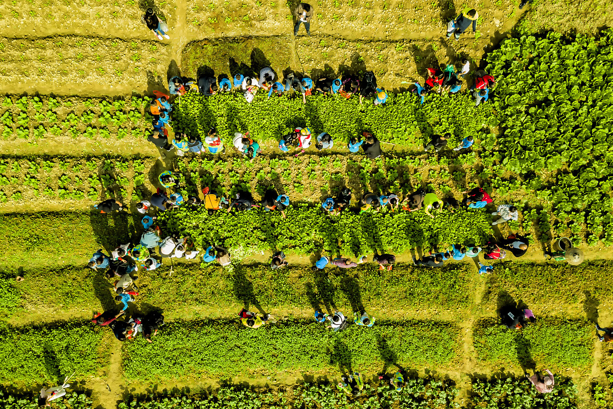 幼儿园学期总结：成长与收获的喜悦