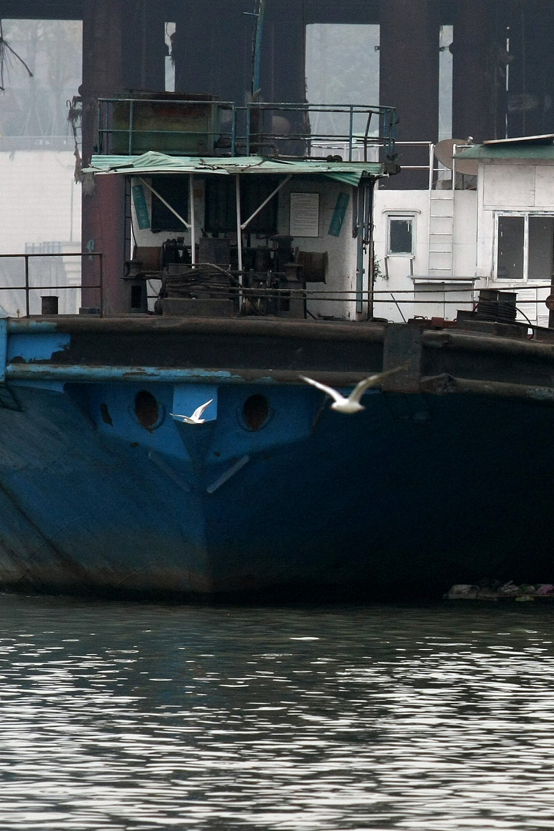 重庆三峡职业学院动物医学专业怎么样？课程设置及就业前景