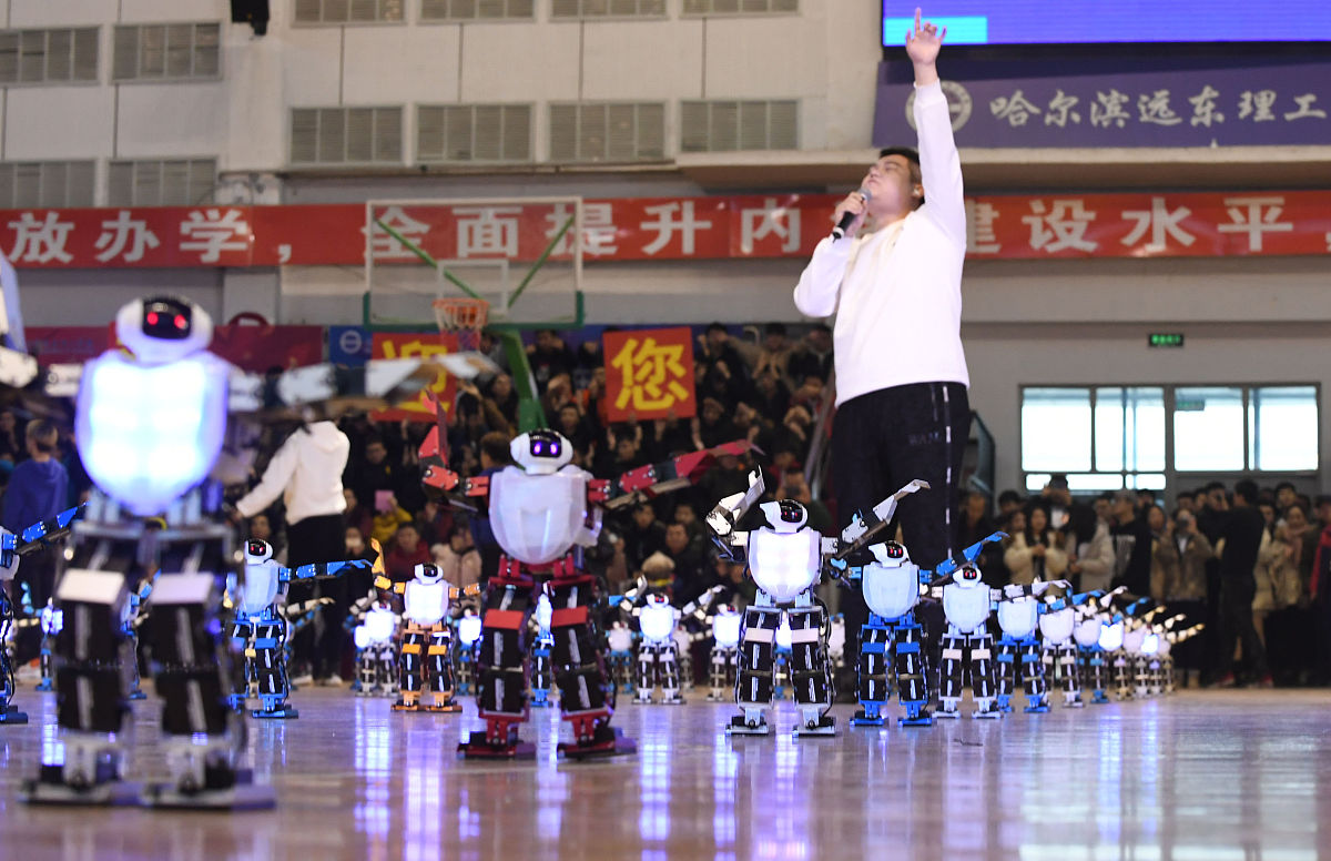 假如我是一只鸟：人工智能的梦想与现实