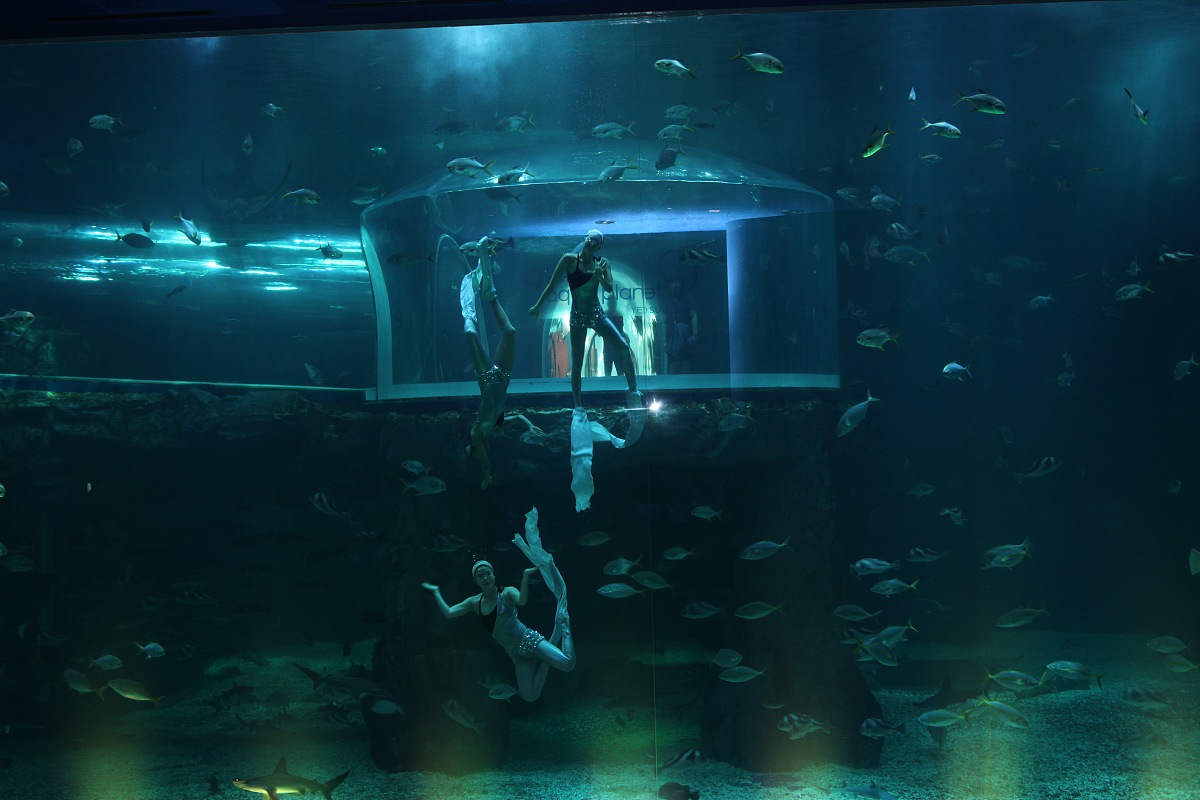 章鱼统治未来？这部科幻电影你可能看过！