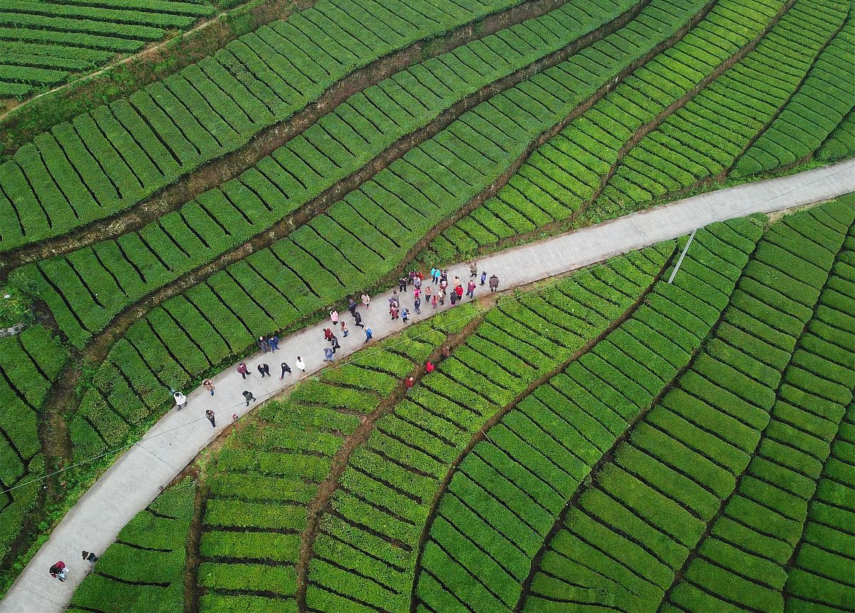 陕西省农业机械化学校2021年招生专业都有哪些