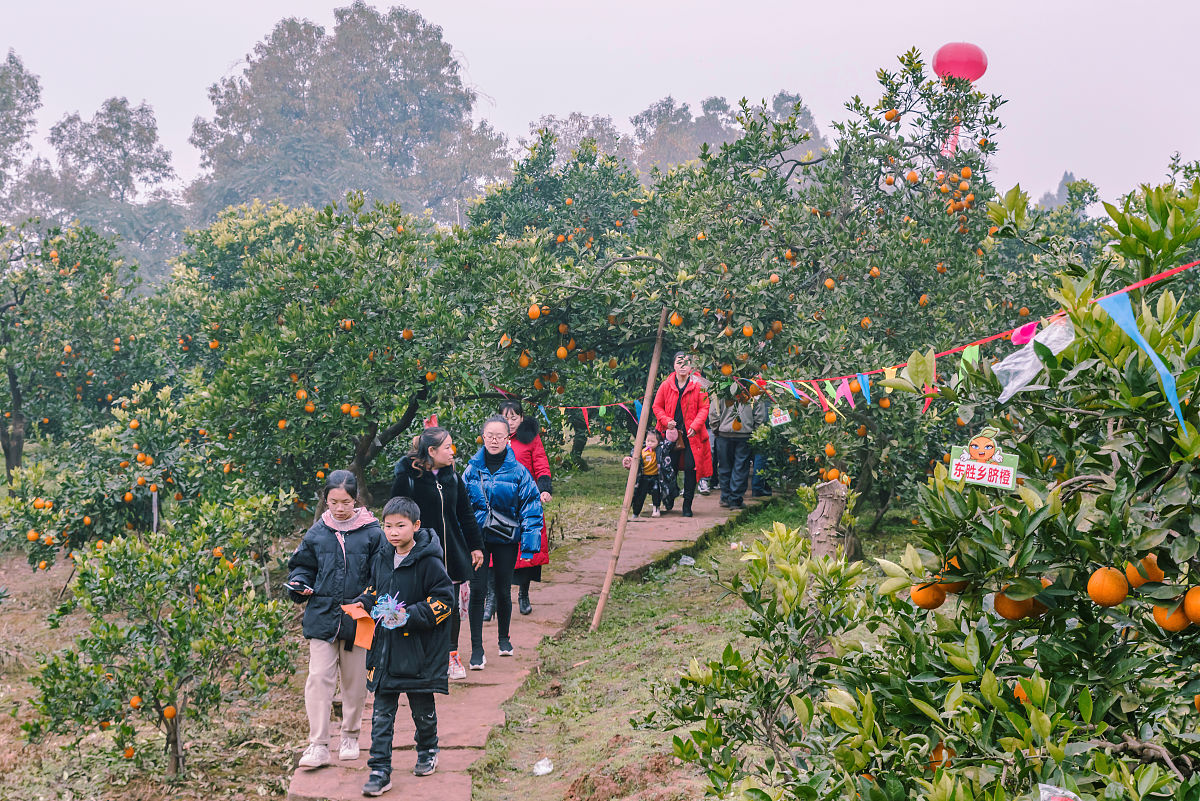 关于四川资阳公路施工总承包二级资质新办及转让多少钱内容生动