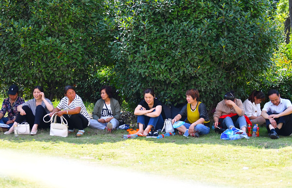 大二学年的个人总结学习不是很好但参加很多社团活动与朋友们出去旅行大学生活很丰富