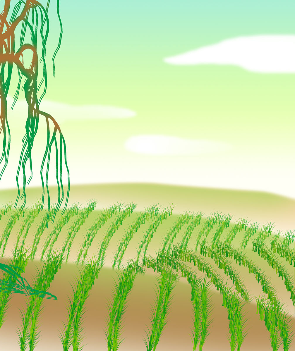 运用气象学的角度描述春分育秧