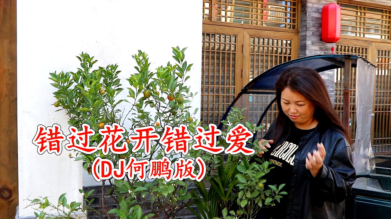 [图]DJ情歌《错过花开错过爱》,走心催泪,歌词太扎心了