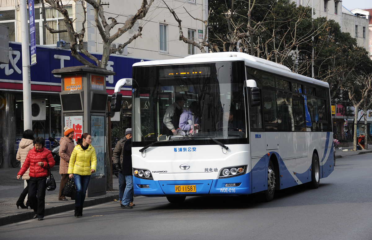 浦东公交车帮我用210字详细描述