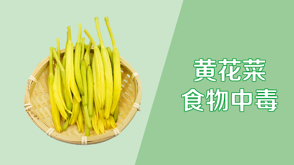 黄花菜食物中毒:二秋水仙碱引起的中毒