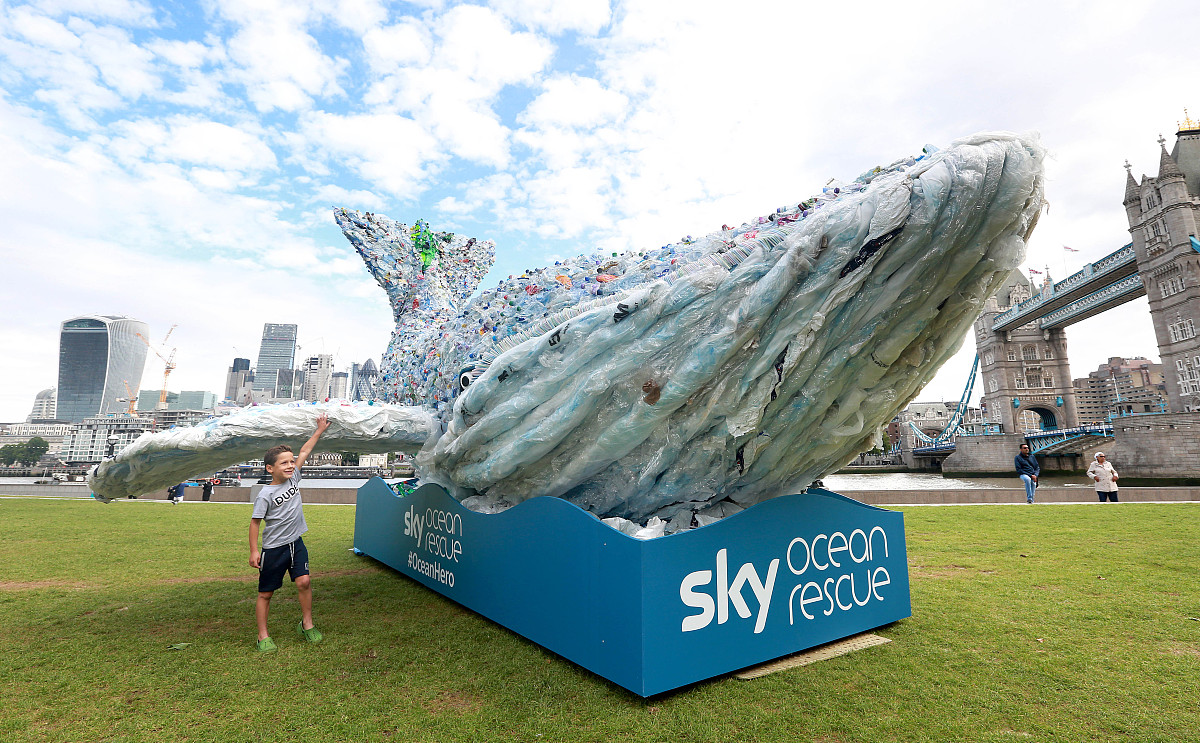 幼儿园健康《种植》教案