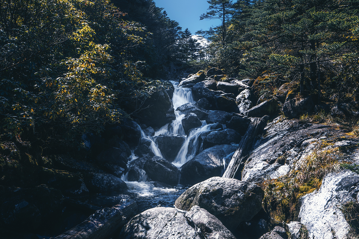 西昌职高学校招生进展如何了用