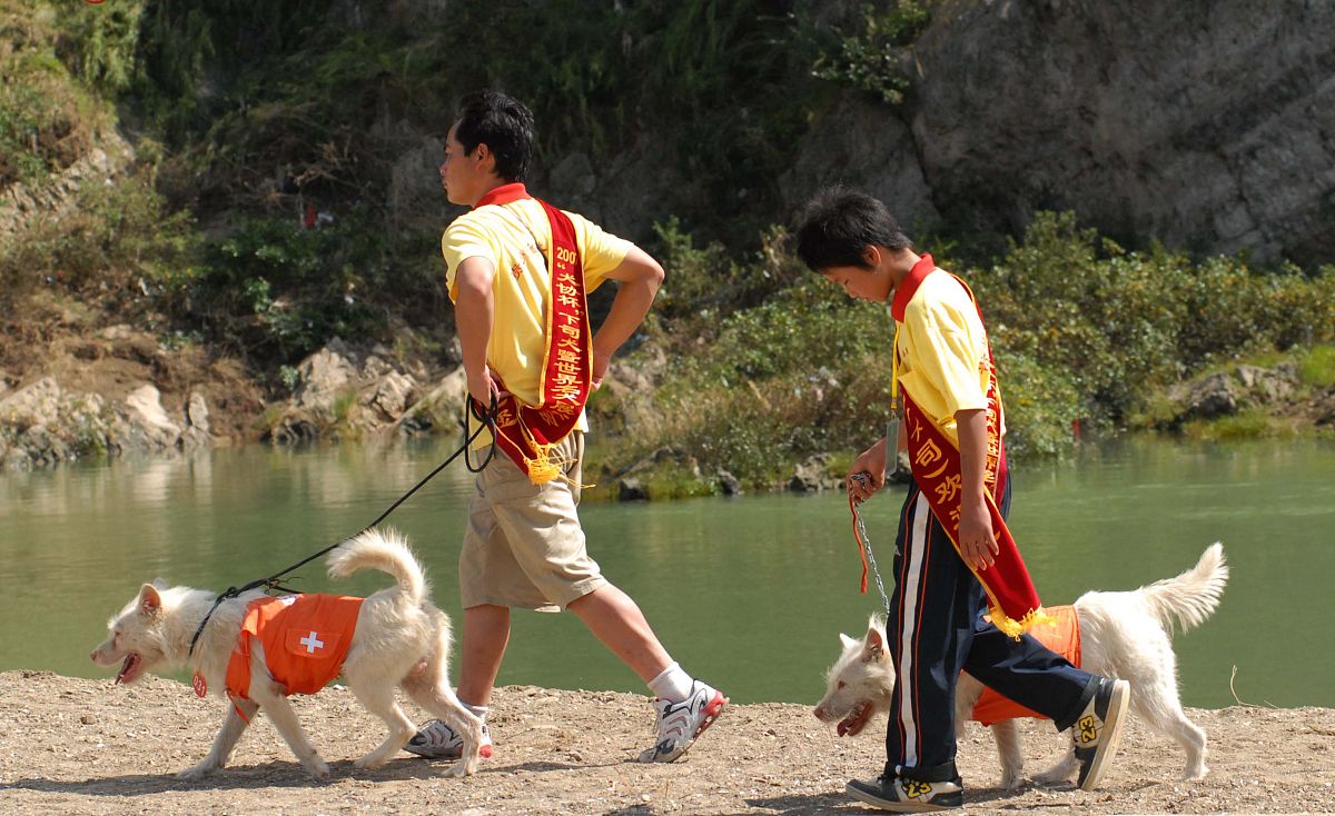 8月3日,养犬爱好者在开幕式上展示的世界名犬麻江下司犬.