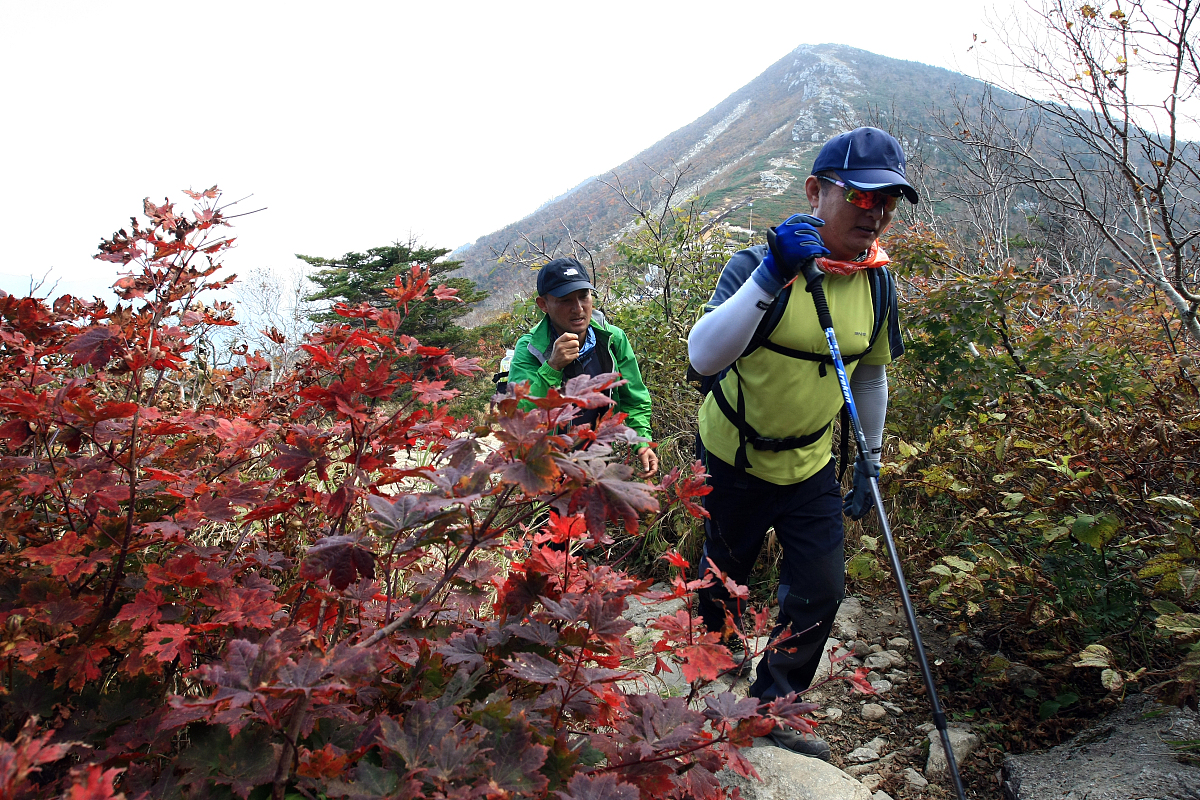 当地时间2012年9月25日,韩国雪岳山大青峰山路上出现今年第一丛红叶,
