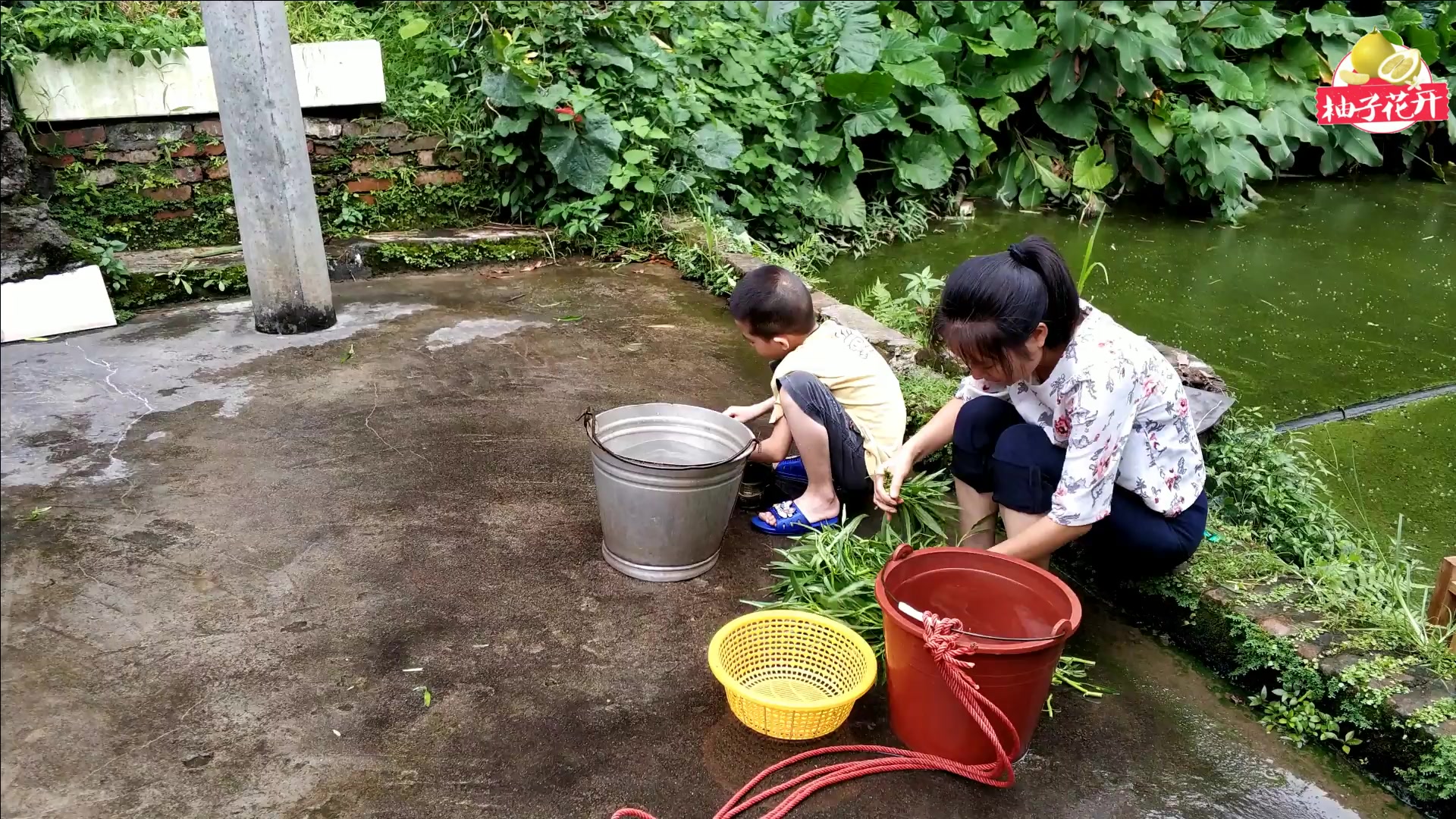 啤酒鸭原来可以这样做,香喷喷的,正宗的农家菜呀