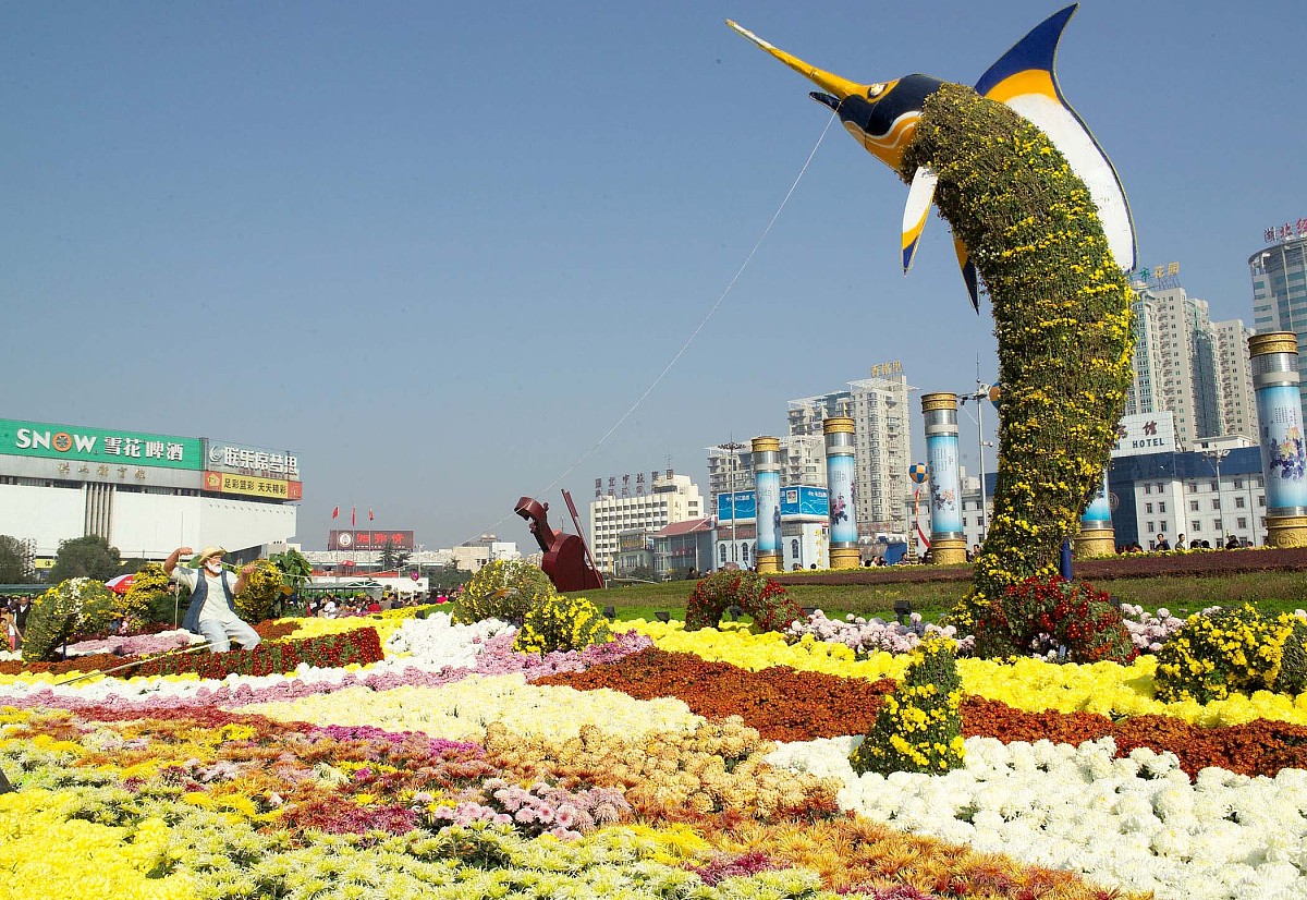 《老人与海》读书报告：探寻人类意志力和生命力的伟大