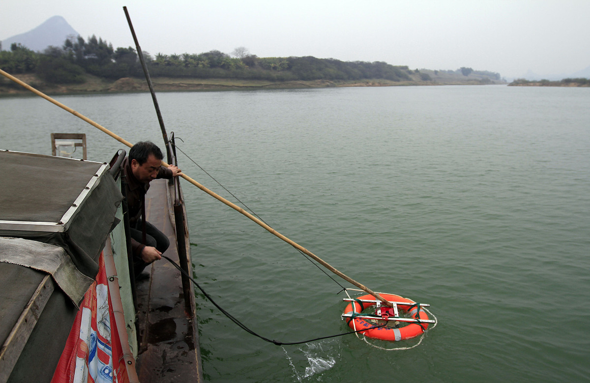 河涌水质调研报告写作指南：方法、指标和建议