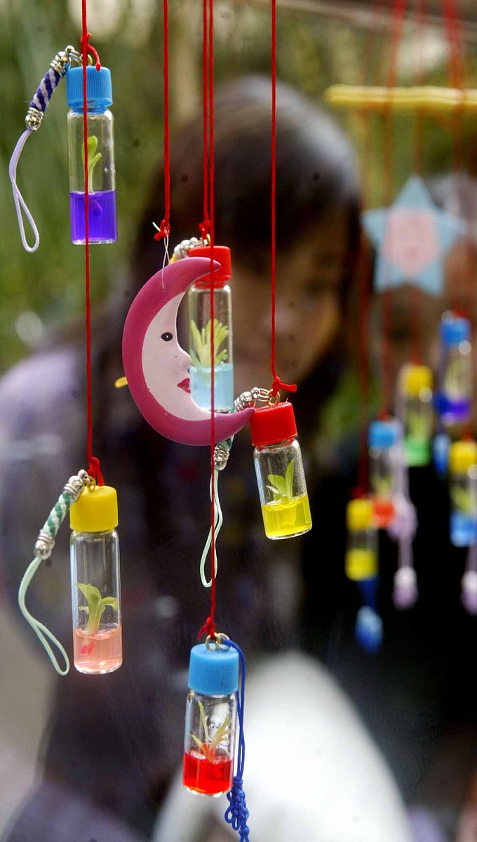 贵州轻工职业技术学院中职部汽车运用与维修专业教学课程包含哪些