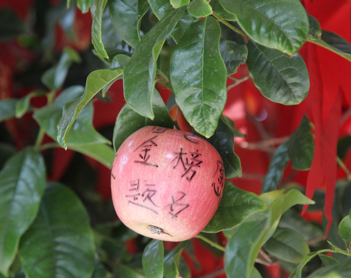 中考物理考试注意事项1 熟悉考试内容：了解考试的范围和内容掌握考试重点和难点。2 熟练掌握基本概念：重点掌握物理基本概念理解物理现象的本质和规律。3 熟练掌握公式和计算方法：掌握物理公式和计算方法熟练运用数学知识解决物理问题。4 熟练掌握实验操作：掌握物理实验的基本操作方法和注意事项熟练运用实验数据解决物理问题。5 熟练掌握图表分析：掌握物理图表的绘制方法和分析技巧能够准确地理解和解释物理图表。6