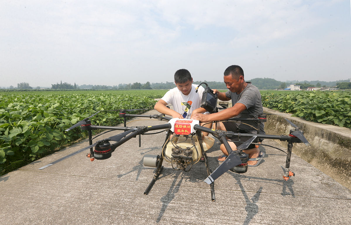 猕猴桃喷雾了靓果安沃丰素大蒜素后多长时间后才能用氯吡脲浸果帮我用200字详细描述