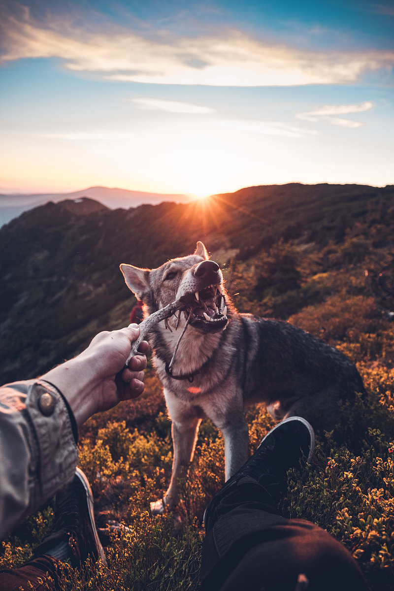 ①时间节奏：更加充裕方便更加深入学习。②分组管理：大组→小组更加精准灵活满足需求。③增加竞品参观时间。④各行程节点准备planB以备不时之需。翻译成日语