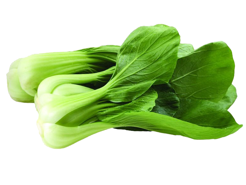 油菜:属十字花科芸薹属,又名油麻菜籽,麻油菜籽等