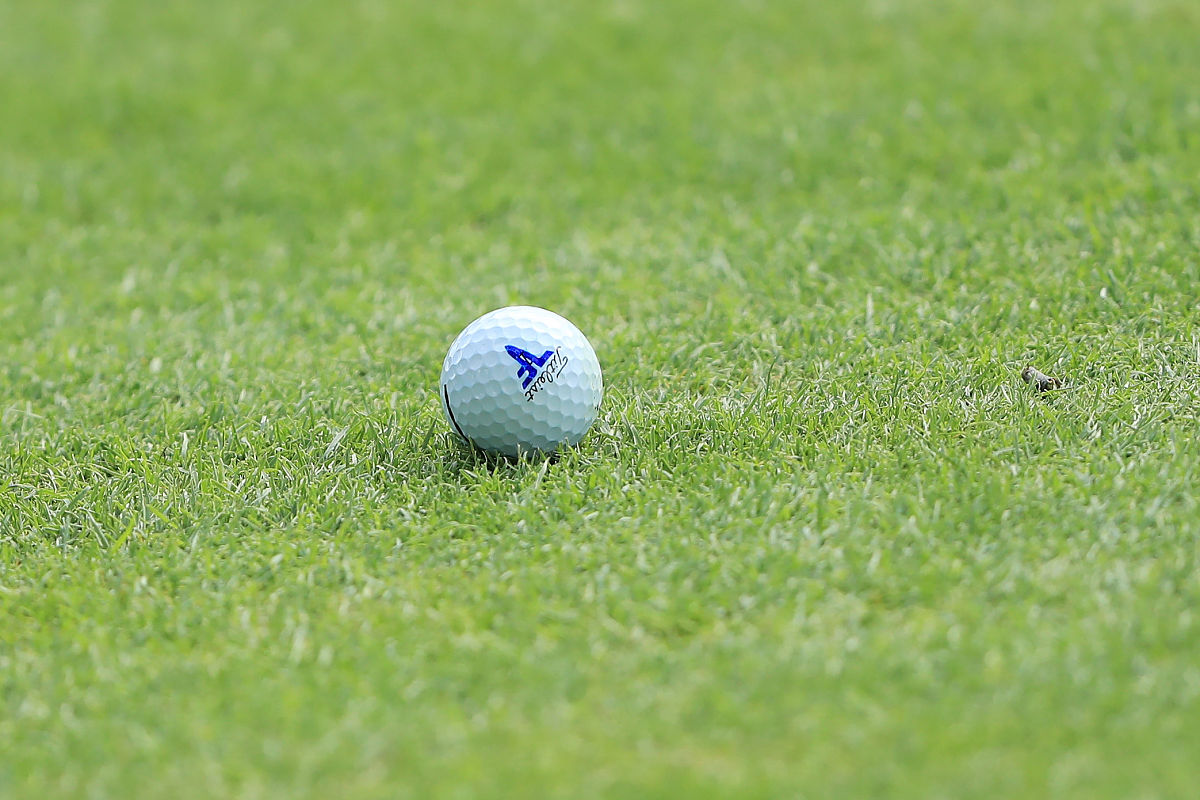 medina<strong>h</strong>, illinois - august 16: the ball of tony finau of the