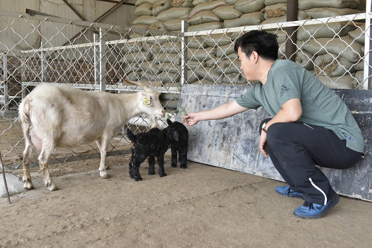 山东畜牧兽医职业学院五年制高职班招生简章 - 2020