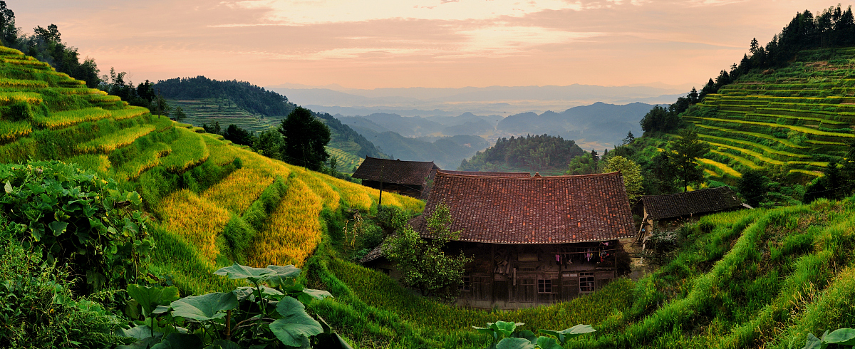 娄底职业技术学院旅游管理专业怎么样？课程设置及就业前景分析