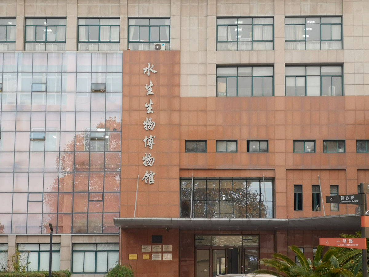 武汉市第二商业学校地址在哪？附地铁公交路线 - SEO优化版