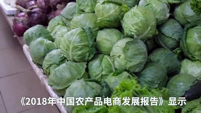 【2019互联网商业年度关键词 :互联网巨头买菜】2019,生鲜电商化第7年。创业公司频频