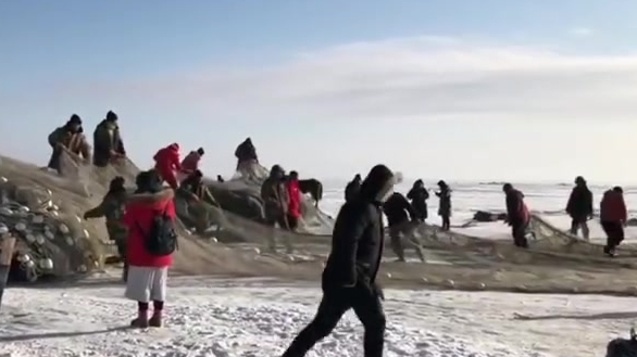 【2966666元!查干湖冬捕头鱼价格再创新高 涨了将近200万】2019年12月28日,