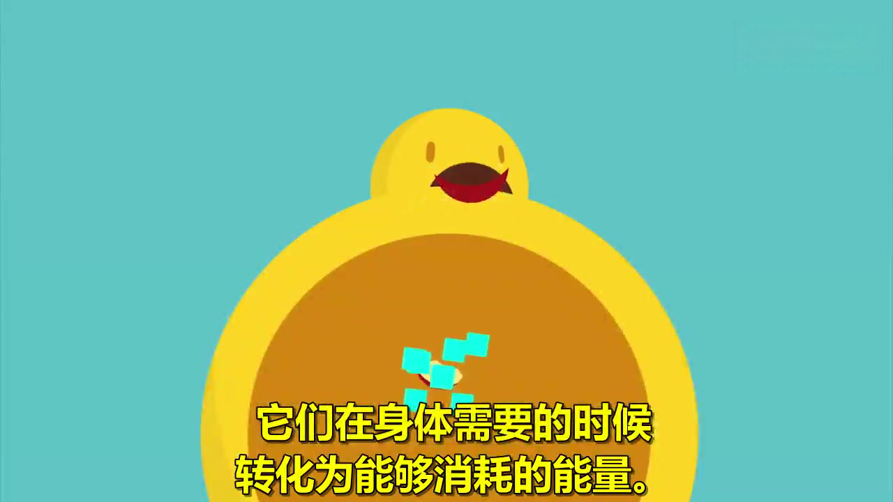 有人说自己喝白开水都会胖→1大卡(C)=1kg水升温1°C,卡路里是如何产生的?人每天要消