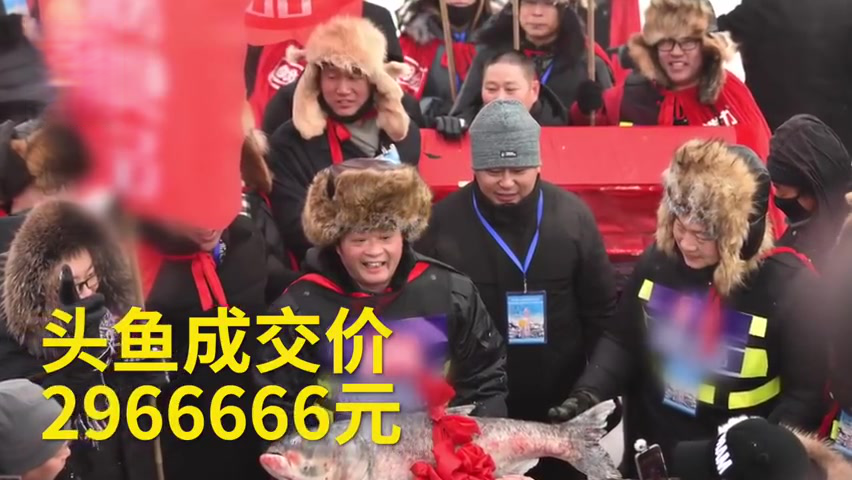 【年年有余!吉林查干湖头鱼拍出2966666天价:捕捞上来的鱼被砌成一排排“鱼墙”!】12