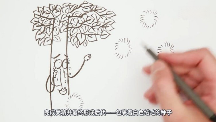 【杨柳絮2秒内可迅速燃烧,千万别去“惹火”它】每到4月份,中国北方很多地方就开始迎来了恼人