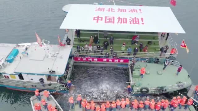 【杭州千岛湖新春第一网鱼半价义卖 购置医疗物资捐赠一线】2月27日,杭州千岛湖上响起了嘹亮