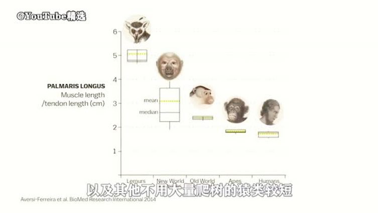 【冷知识:你身上有这些进化“残留物”吗?】手臂平放在桌面上,用大拇指触碰小拇指,稍微抬起手