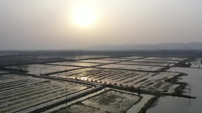 【白衣战士们念叨的小龙虾来了】3月18日,安徽省第四批、第五批支援湖北医疗队共374人从武