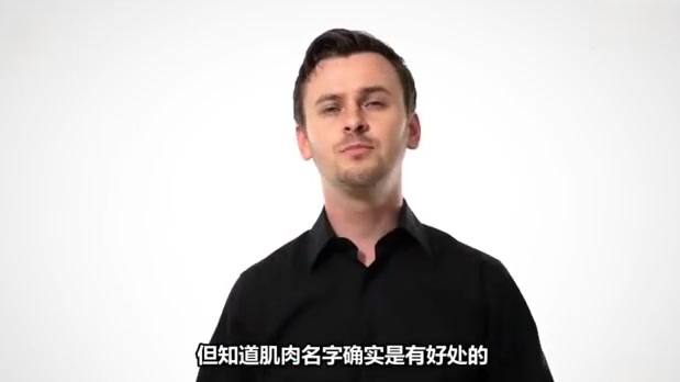 【画肌肉时必不可少的知识】4分钟带大家捋一遍关于画每一块肌肉需要了解的知识、全身肌肉解剖结