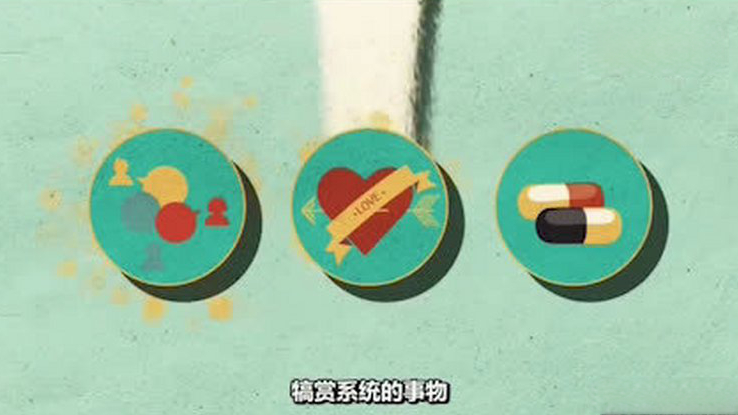 【动画科普:为什么戒糖这么难】香甜的曲奇、松软的黑森林蛋糕、堆着冰淇淋的脆筒……是不是光是