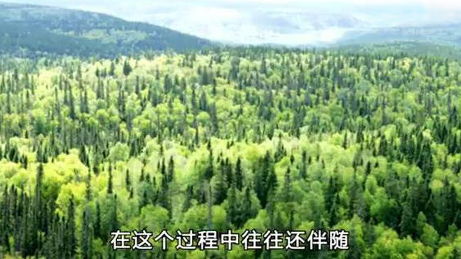 【睡觉时突然抽动一下是怎么回事?】渐渐进入梦乡时,胳膊和腿会突然抽搐一下。在学术上对这一现