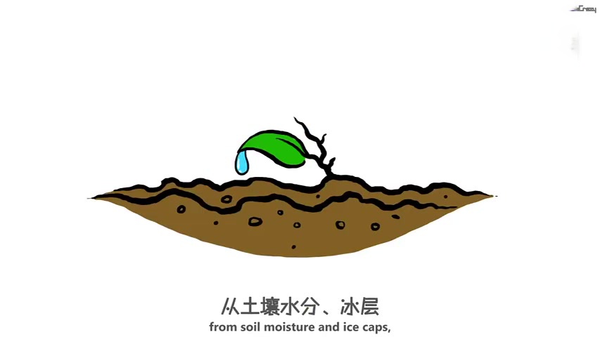 【动画科普:如果我们不喝水会发生什么?】水占人体重量的60%~70%,体温调节、新陈代谢、